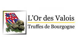 logo l'or des Valois